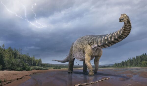 Dino Aventura: la experiencia prehistórica más impactante sigue en Paraguay